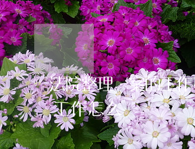 法院整理檔案的工作可以嗎(在法院管檔案的工作怎么樣)