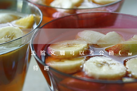 法院文職可以考公務(wù)員嗎(法院文職待遇)