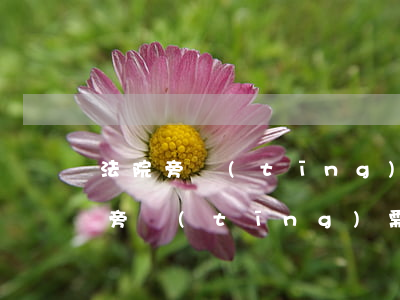 法院旁聽(tīng)用駕駛證可以嗎(法院旁聽(tīng)需要帶什么證件)