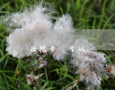 法院旁聽可以講話嗎(法院旁聽可以隨時走嗎)