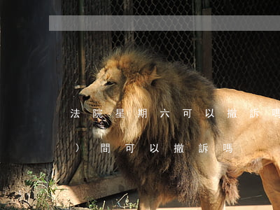 法院星期六可以撤訴嗎(有了開庭時(shí)間可以撤訴嗎)