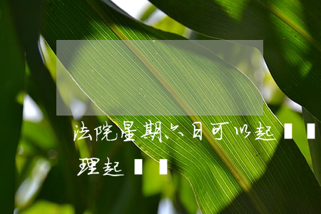 法院星期六日可以起訴嗎(法院星期六日能辦理起訴嗎?)