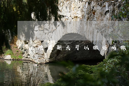 法院星期天可以撤诉吗(撤诉了法院会通知吗)