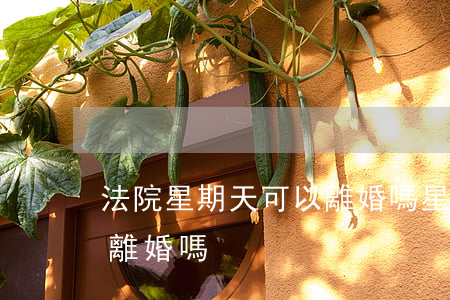 法院星期天可以離婚嗎(星期天法院可以起訴離婚嗎)