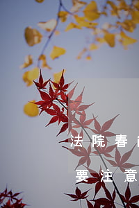 法院春節(jié)可以交錢嗎(去法院交錢要注意什么)