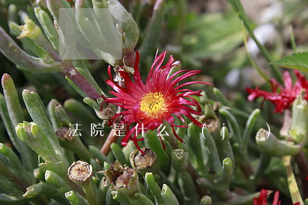 法院是什么機(jī)關(guān)