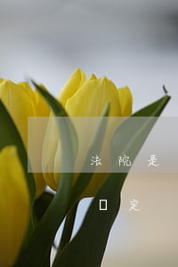 法院是否有權強制要求做醫(yī)療事故鑒定