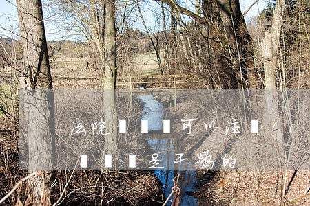 法院書記員可以注冊(cè)公司嗎(法院制書記員是干嘛的)