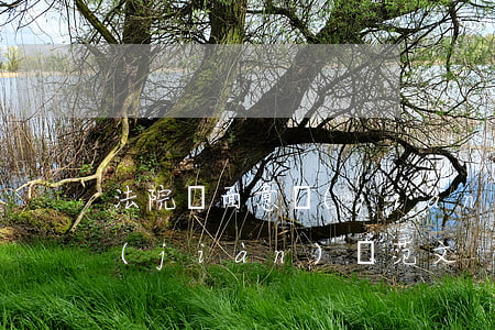 法院書面意見(jiàn)書范本(庭審意見(jiàn)書范文)