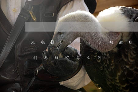 法院會(huì)判逾期貸款多少利息(逾期利息法院怎么判)