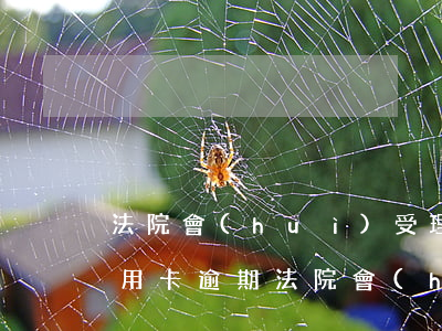 法院會(huì)受理信用卡逾期案件嗎（信用卡逾期法院會(huì)發(fā)短信通知嗎）