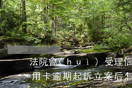 法院會(huì)受理信用卡逾期案件嗎（信用卡逾期起訴立案后怎么辦）