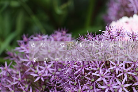 法院會受理信用卡逾期案件嗎（信用卡逾期收到法院怎么辦）