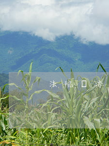 法院會添加微信起訴嗎