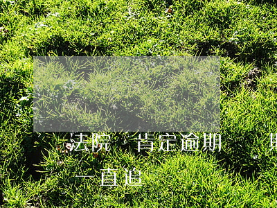 法院會肯定逾期轉長期這個說法嗎-法院會一直追債嗎