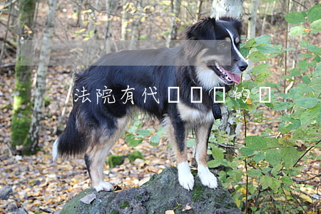 法院有代寫訴狀的嗎