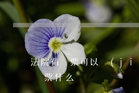 法院有傳票可以結(jié)婚嗎(法院正式傳票什么樣)