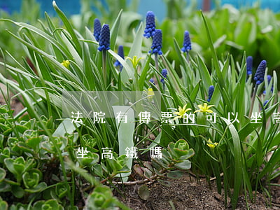 法院有傳票的可以坐高鐵嗎(法院有案子可以坐高鐵嗎)