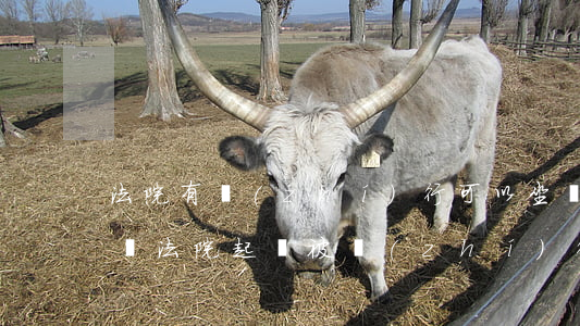 法院有執(zhí)行可以坐飛機(jī)嗎(法院起訴被執(zhí)行可以坐飛機(jī)嗎)