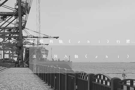 法院有執(zhí)行黑名單可以入黨嗎(被法院列入執(zhí)行名單怎么辦)