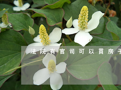 法院有官司可以買房子嗎
