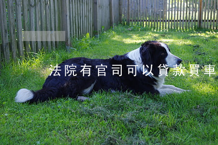 法院有官司可以貸款買車嗎