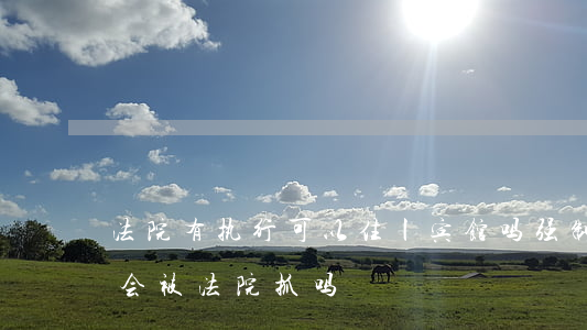 法院有执行可以住丨宾馆吗(强制执行住宾馆会被法院抓吗)