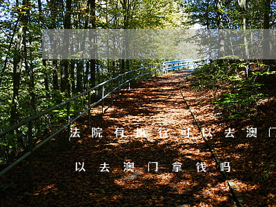 法院有执行可以去澳门拿钱吗(法院有执行可以去澳门拿钱吗)