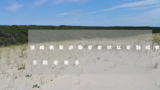法院有条逾期买房可以买到吗(有逾期是不是不能买房子)