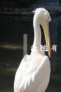 法院有来要钱可以不给吗(法院怎么强制要钱)