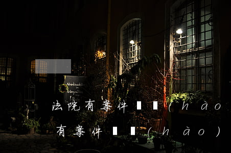 法院有案件編號(hào)可以查詢嗎(法院有案件編號(hào)可以查詢嗎)