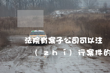 法院有案子公司可以注銷(xiāo)嗎(有執(zhí)行案件的公司可以注銷(xiāo)嗎)