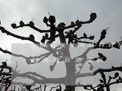 法院有案子可以办理房贷款吗(法院有案子可以办理房贷款吗)