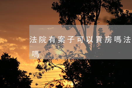 法院有案子可以買房嗎(法院有案子可以買房嗎)