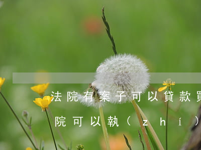 法院有案子可以貸款買房嗎(有貸款的房子法院可以執(zhí)行嗎)