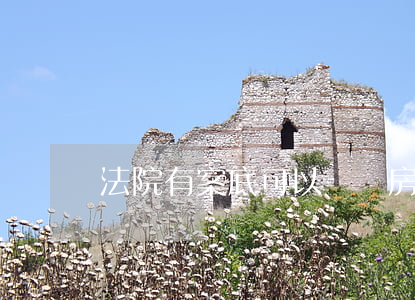 法院有案底可以買賣房子嗎