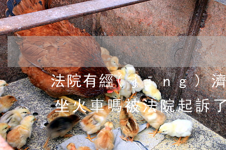法院有經(jīng)濟(jì)立案可以坐火車嗎(被法院起訴了可以坐火車嗎)
