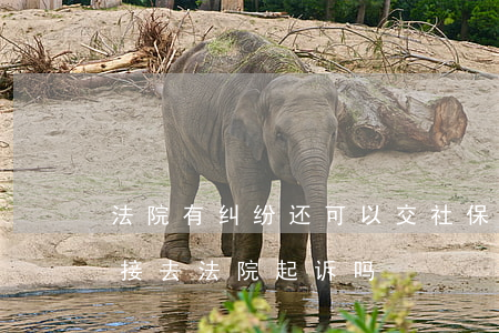 法院有纠纷还可以交社保吗(欠缴社保可以直接去法院起诉吗)