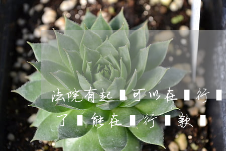 法院有起訴可以在銀行紡貸款嗎(被法院起訴了還能在銀行貸款嗎)