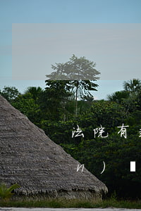 法院有起訴還可以貨款嗎(貨款轉(zhuǎn)為欠款了可以起訴嗎)