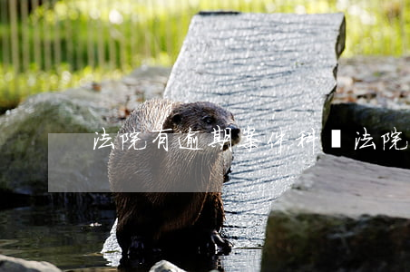 法院有逾期案件科嗎(法院逾期立案)