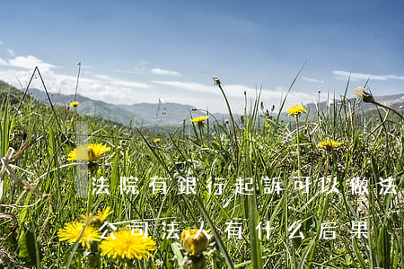 法院有銀行起訴可以做法人嗎(被法院起訴的公司法人有什么后果)