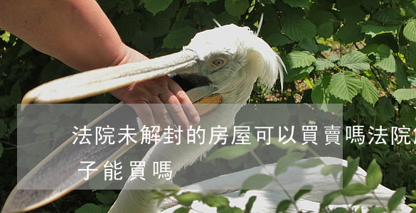 法院未解封的房屋可以買賣嗎(法院解封的房子能買嗎)
