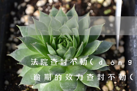 法院查封不動(dòng)產(chǎn)逾期的效力(查封不動(dòng)產(chǎn)的有效期)