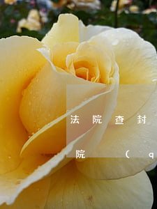法院查封判決后還可以拍賣(mài)嗎(法院強(qiáng)制查封后多久可以拍賣(mài))