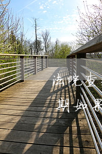 法院查封后已進(jìn)入拍賣程序后逾期(如果房產(chǎn)再查封期間,法院可以進(jìn)行拍賣嗎)