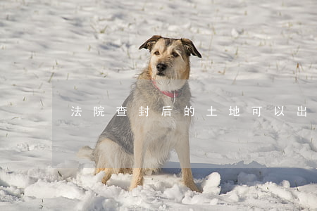法院查封后的土地可以出租嗎