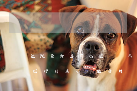 法院查封房可以抵頂嗎(已經(jīng)被抵押的房子還能查封)