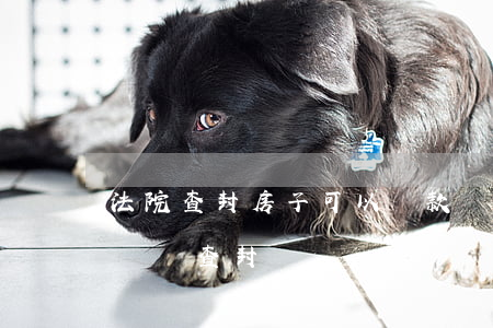 法院查封房子可以貸款嗎(按揭房子會被其它債務查封嗎)
