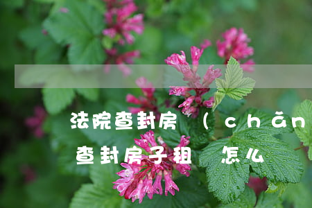法院查封房產(chǎn)可以租用嗎(法院查封房子租戶怎么辦)